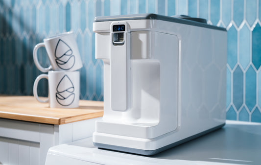 CLEANR Filter for Washing Machines (Subscription)